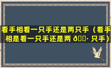 看手相看一只手还是两只手（看手相是看一只手还是两 🕷 只手）